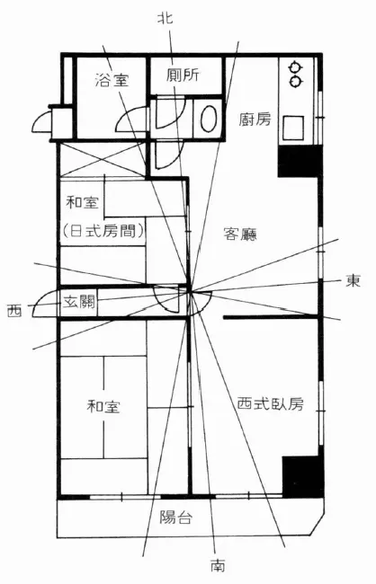 住家风水招财开运法pdf 高清 百度网盘下载 堪舆阳宅 第4张