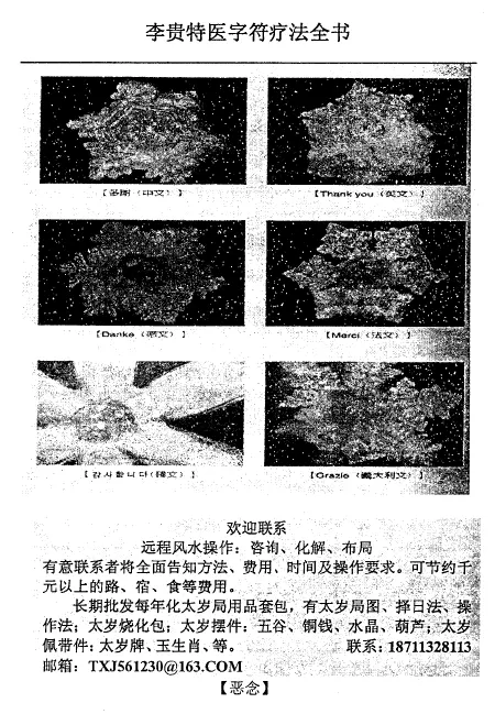 李贵字符特色疗法全书 易学 第4张