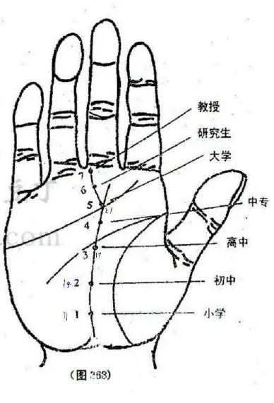 莫问手相培训 133页 手相面相 第2张