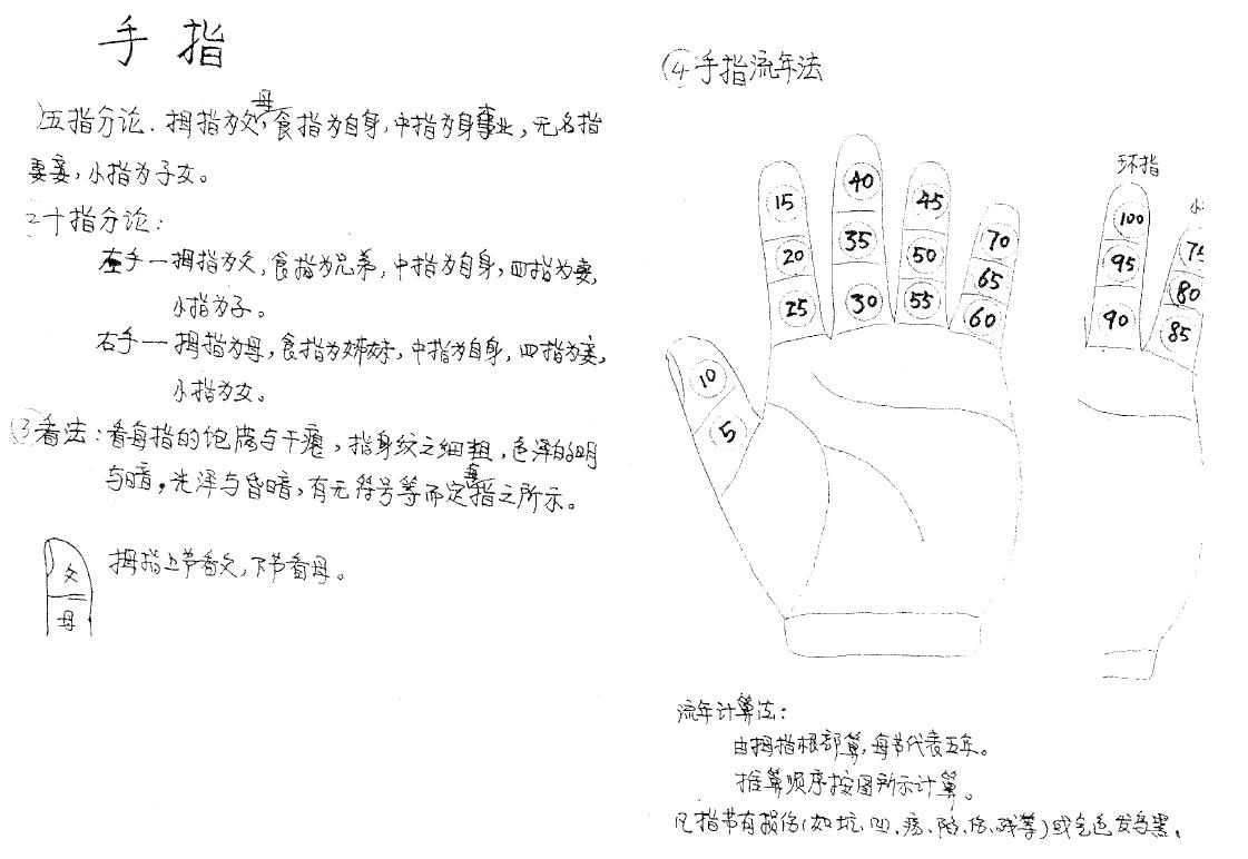 陈鼎龙 童忠义《手纹学》63页 手相面相 第3张