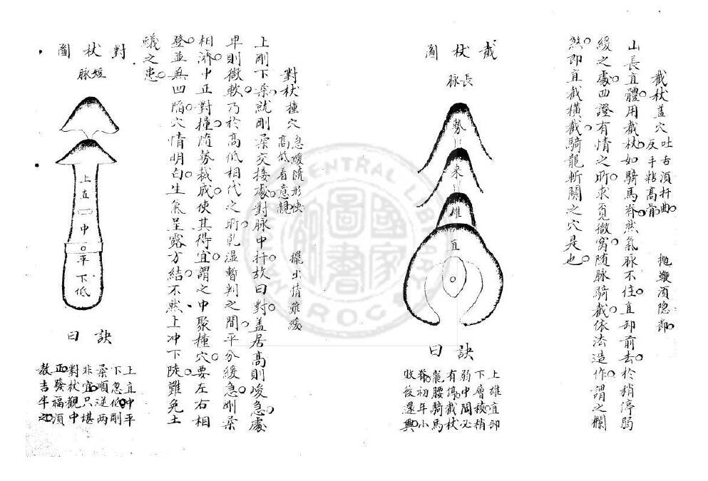 杨筠松《倒杖十二法》一卷 国学古籍 第4张